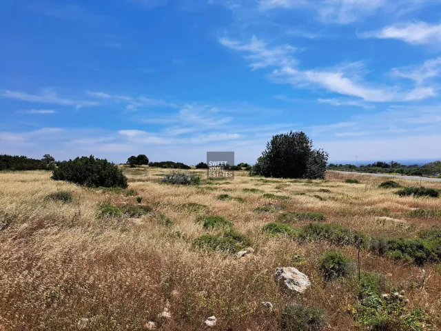 תמונה 6