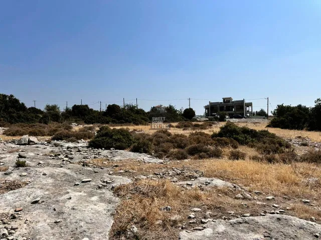 תמונה 8