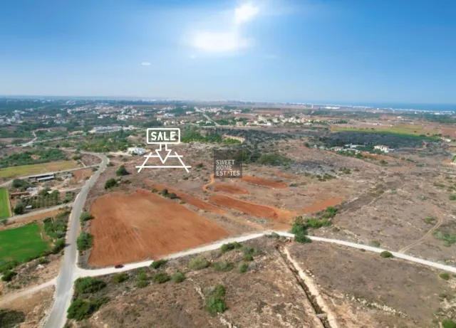תמונה 2