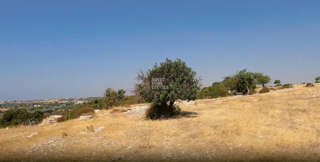 תמונה 9
