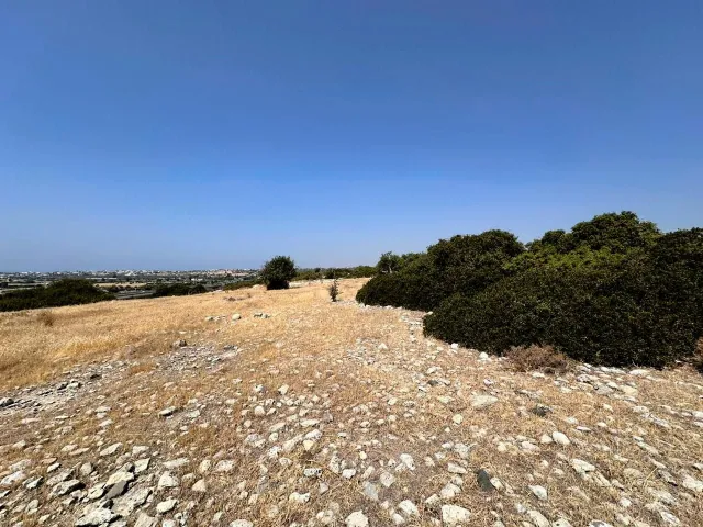 תמונה 7