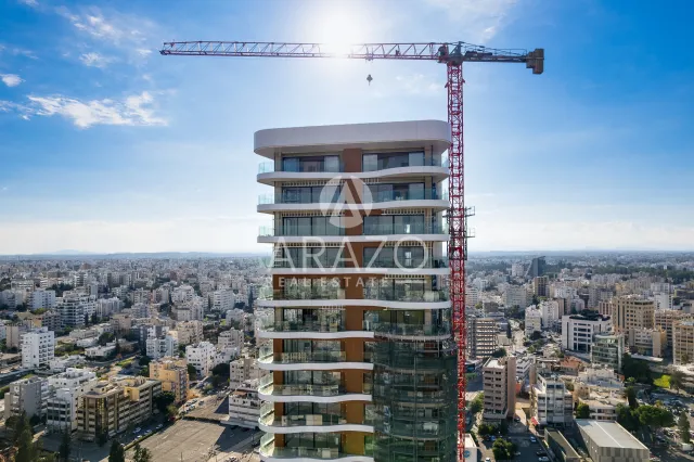 תמונה 6