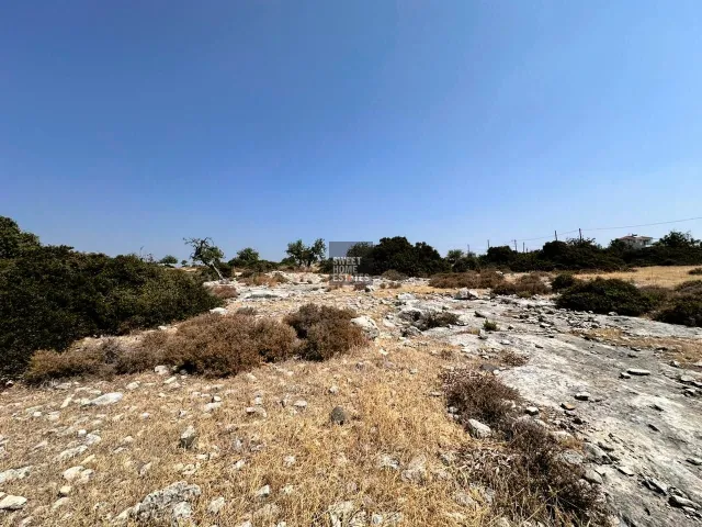 תמונה 4