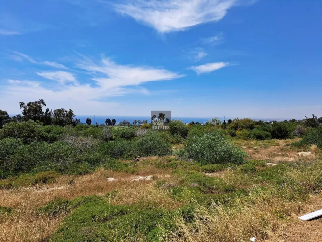 תמונה 5