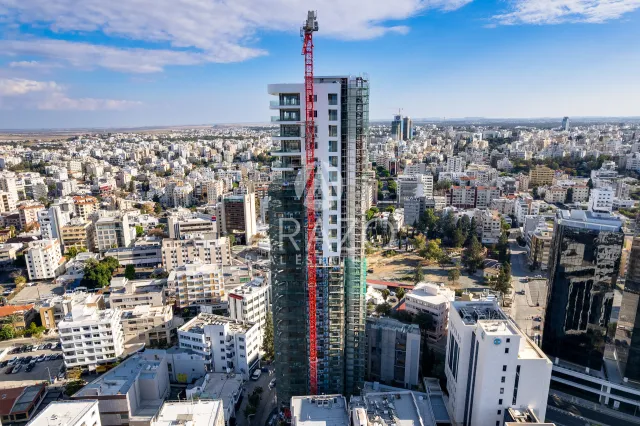 תמונה 2